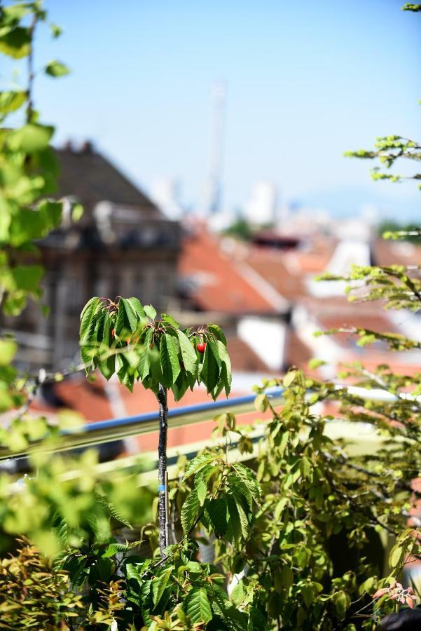 Zagreb Rooftops Экстерьер фото